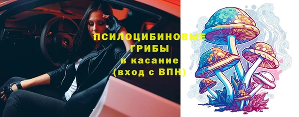 прущая мука Алзамай