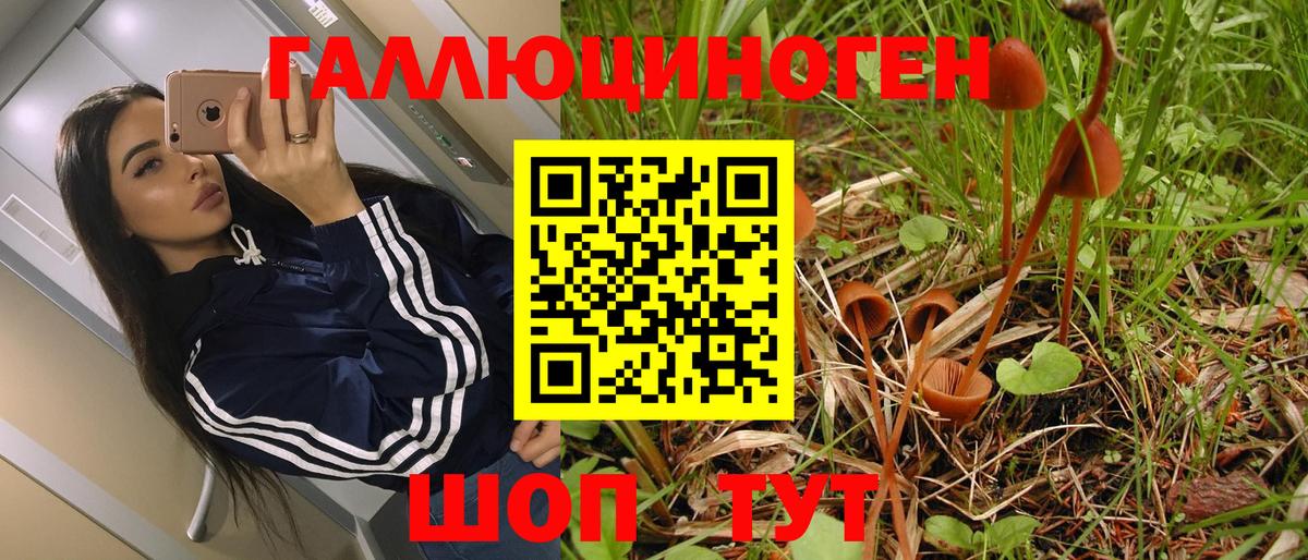 Псилоцибиновые грибы мухоморы  Псилоцибиновые грибы мицелий  Новоалтайск  Вход с VPN 
